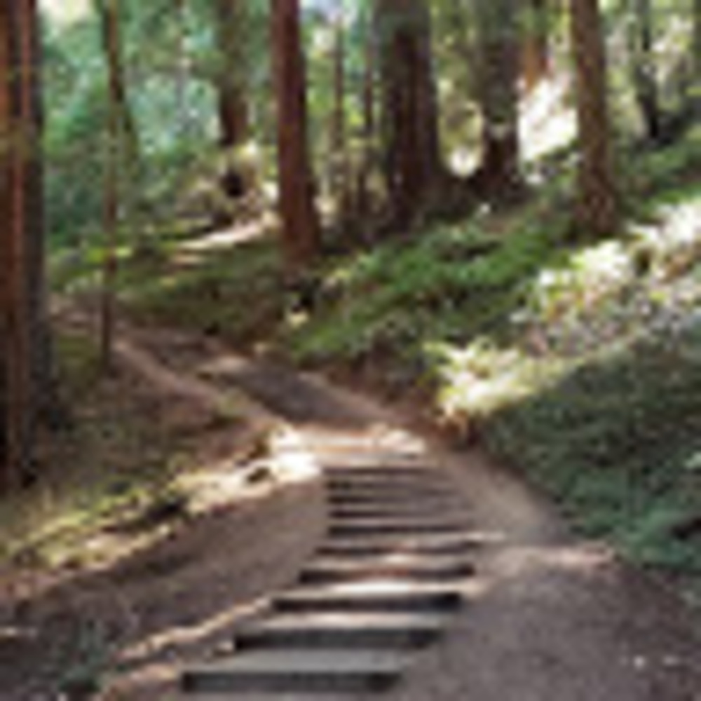 Meet your Posher, Cassandra